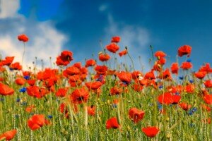 Wolność w XXI wieku (cz.3) - Prawda jądrem wolności