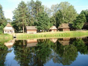 Nad rzekę, w cień drzew...