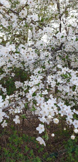 Promocje obrzydliwości