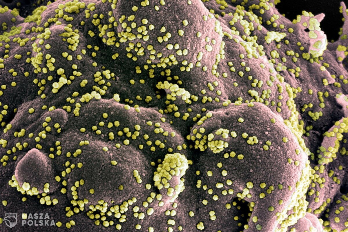 Co wiemy o wariancie Omikron?