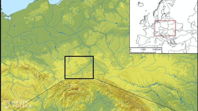 Dieta mieszkańców płd. Polski kilka tysięcy lat temu w dużej mierze roślinna