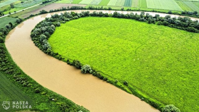 Hydrobiolog: trzeba zaprzestać regulacji rzek