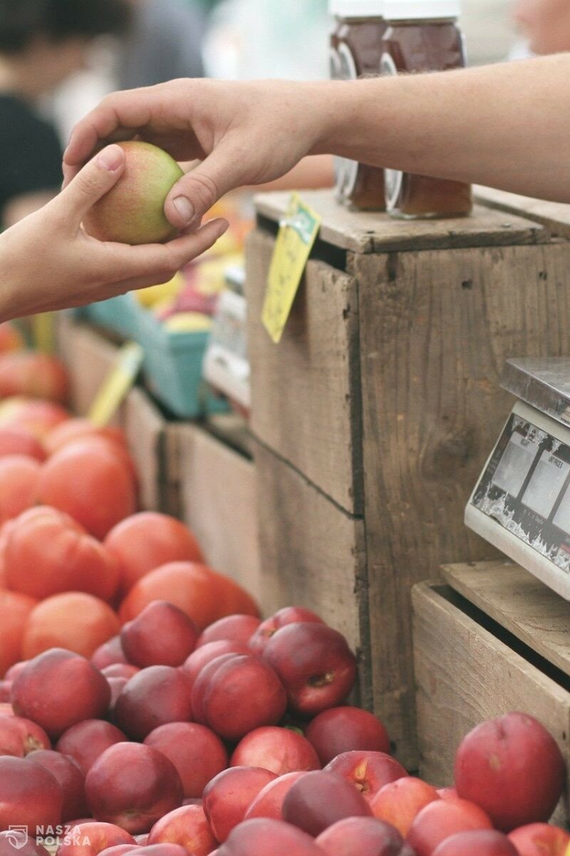 Jak kupić dobre polskie jabłka?