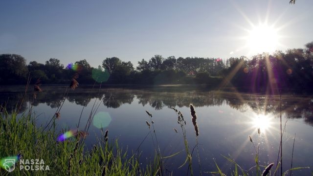 „Dźwiękoławki” nad Odrą