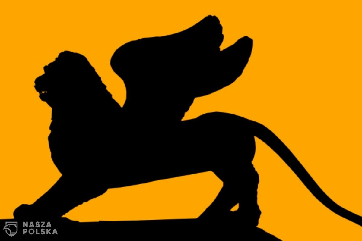 Takiego przebiegu festiwalu w Wenecji nie przewidziano w żadnym scenariuszu