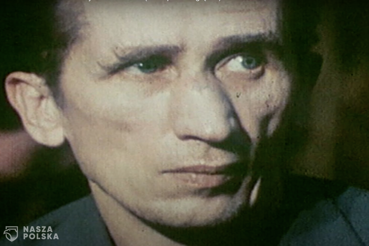 Zdzisław Marchwicki „wampir z Zagłębia” morderca czy ofiara?