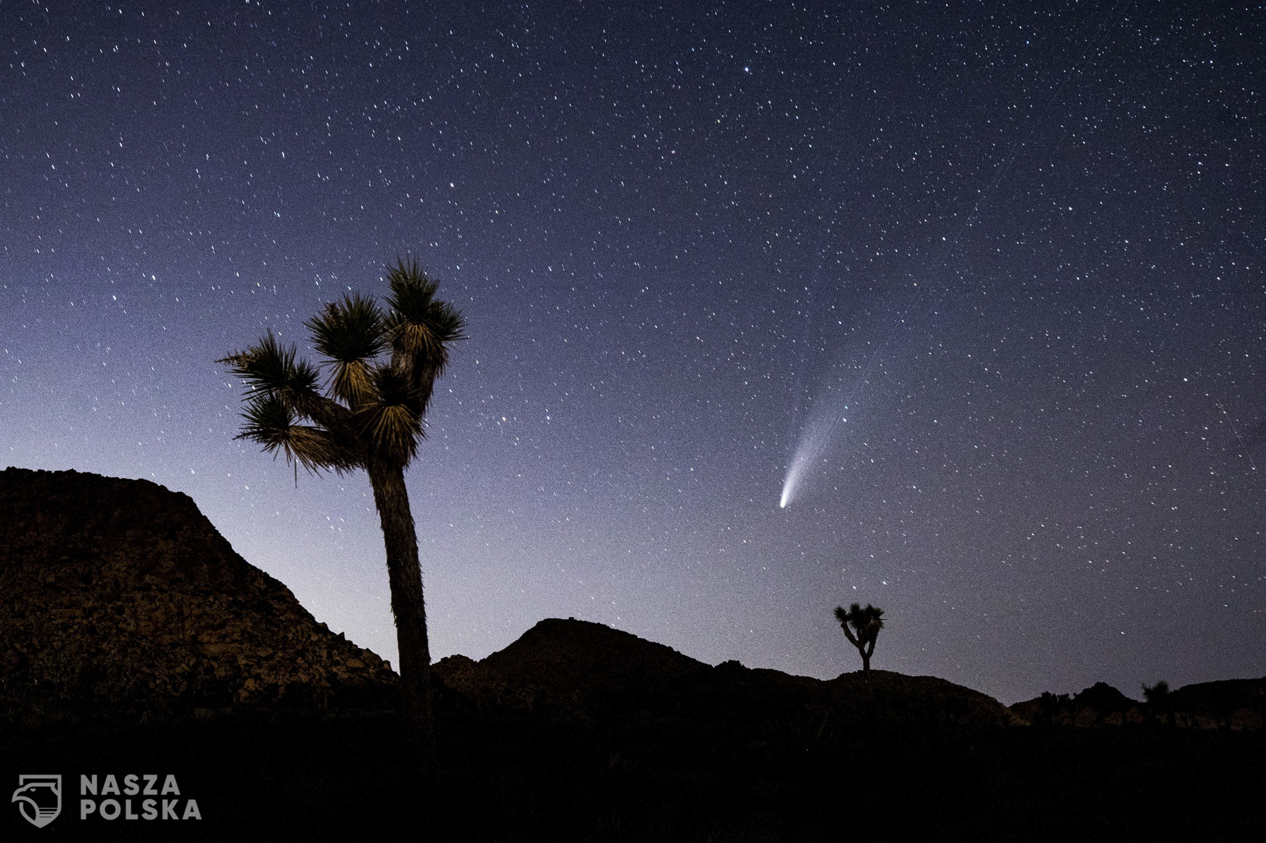 epa08555984 The Comet NEOWISE or C/2020 F3 is seen after sunset passing over the Joshua Tree National Park, California, USA, 19 July 2020 (issued 20 July 2020). The comet passed closest to the Sun on 03 July and its closest approach to Earth will occur on 23 July.  EPA/ETIENNE LAURENT 
Dostawca: PAP/EPA.