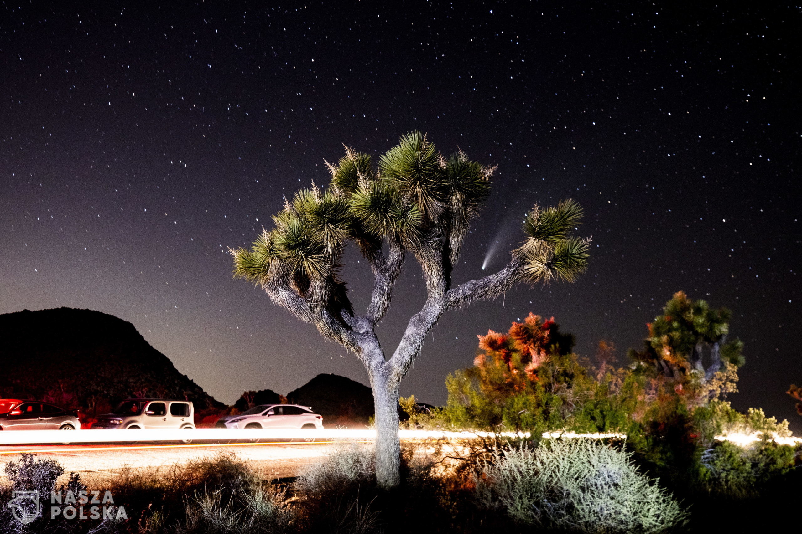 epa08555986 The Comet NEOWISE or C/2020 F3 is seen after sunset passing over the Joshua Tree National Park, California, USA, 19 July 2020 (issued 20 July 2020). The comet passed closest to the Sun on 03 July and its closest approach to Earth will occur on 23 July.  EPA/ETIENNE LAURENT 
Dostawca: PAP/EPA.