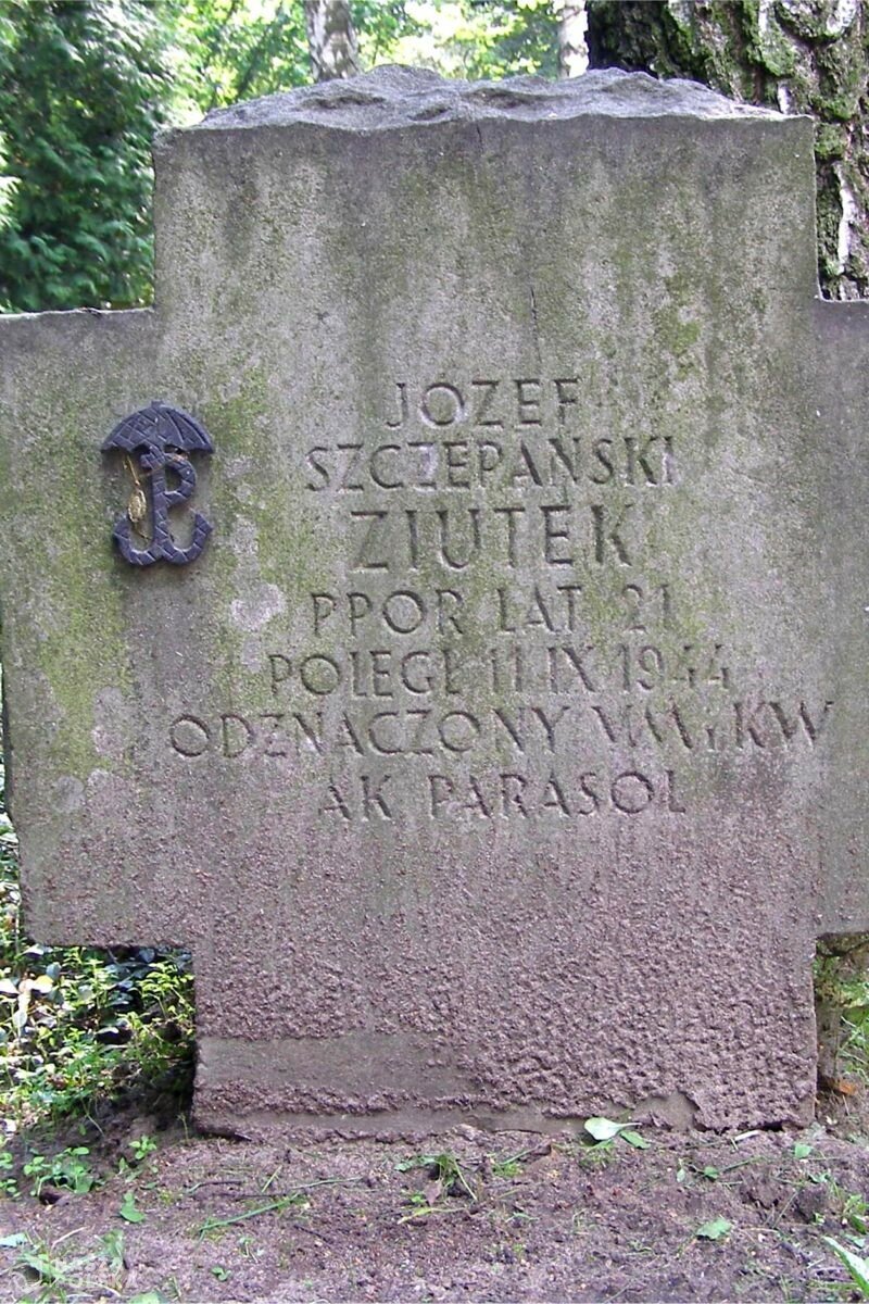 Nieznane wiersze autora „Pałacyku Michla” Józefa Szczepańskiego „Ziutka”