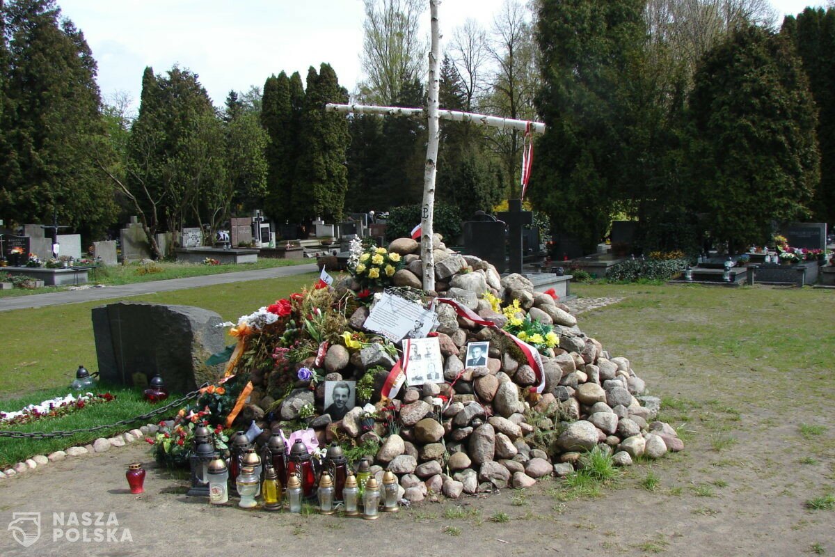 Prof. K. Szwagrzyk: w sprawie Łączki głosów popierających nasz wysiłek zawsze było więcej niż krytyki