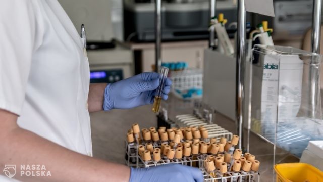 Wiceminister zdrowia: program profilaktyki 40 plus zakłada m.in. badania morfologii, kreatyniny, cholesterolu