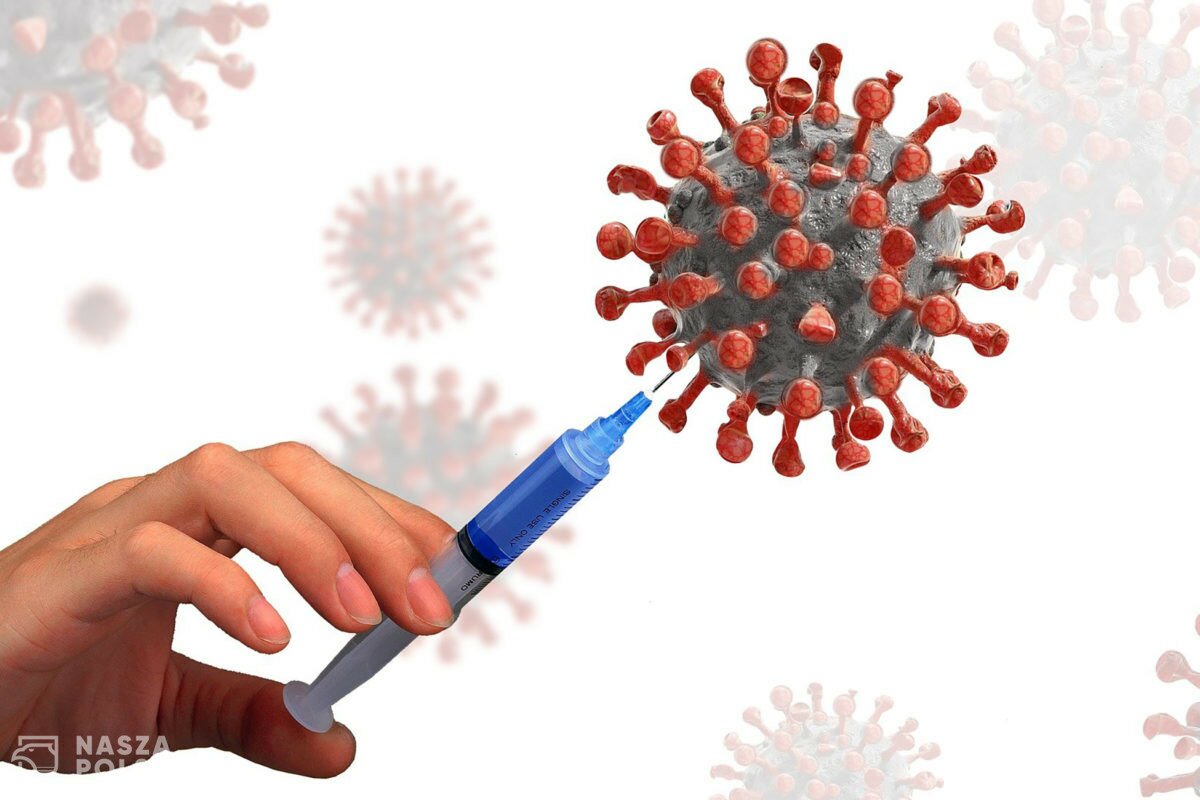 Szczepionka CureVac skuteczna w 47 proc. EMA twierdzi, że potrzebne są dalsze analizy Szczepionka CureVac skuteczna w 47 proc. EMA twierdzi, że potrzebne są dalsze analizy