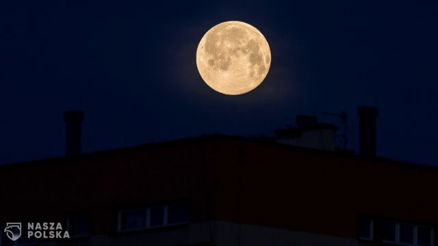 Wilczy księżyc – Kraków