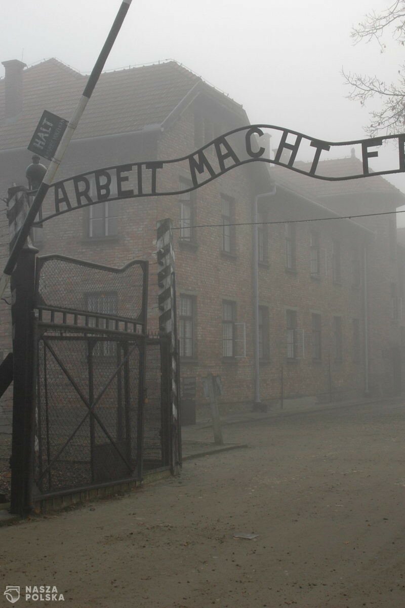 Międzynarodowy Dzień Pamięci o Ofiarach Holokaustu i 79. rocznica wyzwolenia niemieckiego obozu Auschwitz-Birkenau