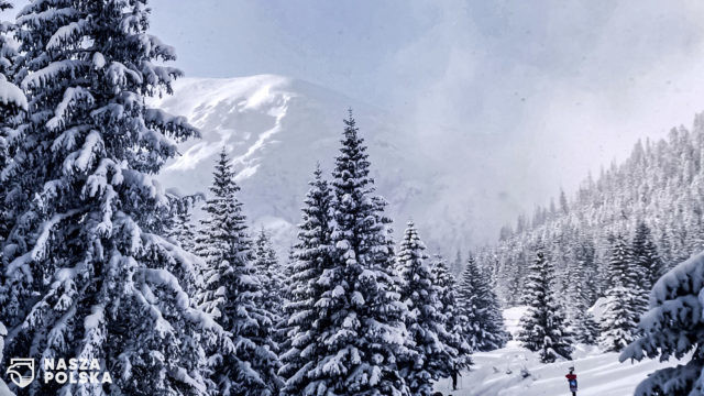 W Tatrach coraz więcej śniegu i coraz trudniejsze warunki, nie tylko na drogach