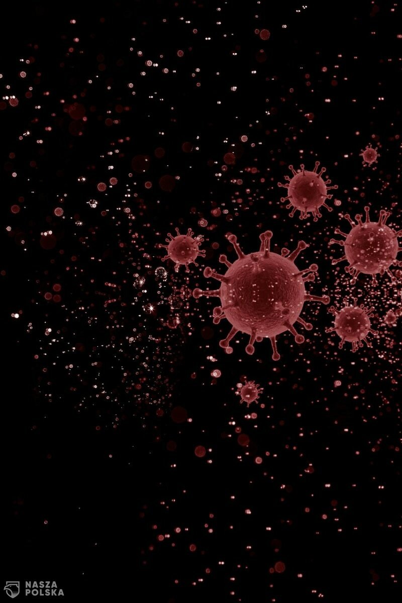 Przed dwoma laty koronawirus dotarł do Europy; pierwszy przypadek wykryto w Bordeaux