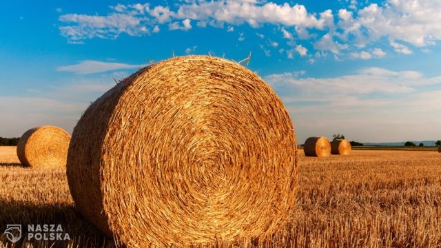 Ardanowski: Rada ds. Rolnictwa zajmie się we wtorek zadłużeniem gospodarstw rolnych