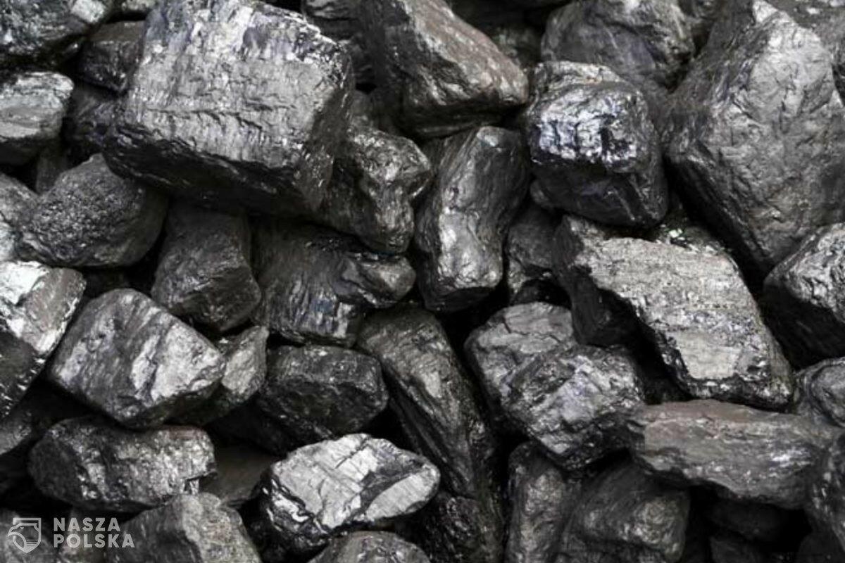 Rząd chce odejść od węgla w latach 40. Ekolodzy są przeciwko