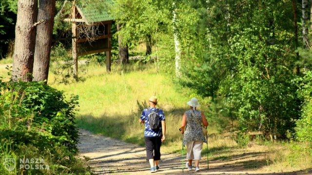 Prof. Zajkowska: nie bójmy się aktywności na powietrzu, ale nie grupujmy się