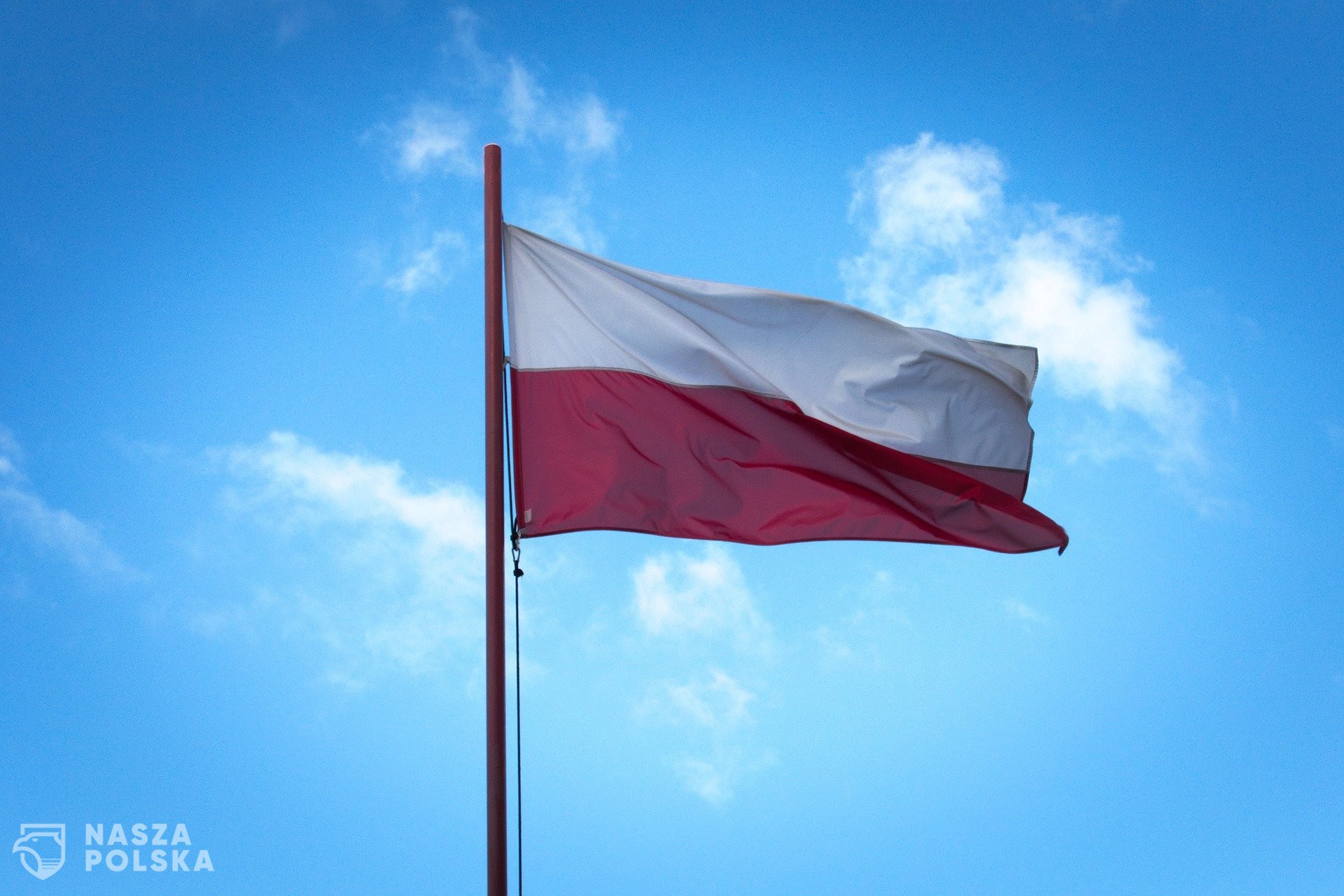 Ojczyznę kochać jak matkę