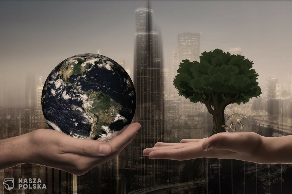 Młodzież – nadzieja czy zguba dla środowiska?