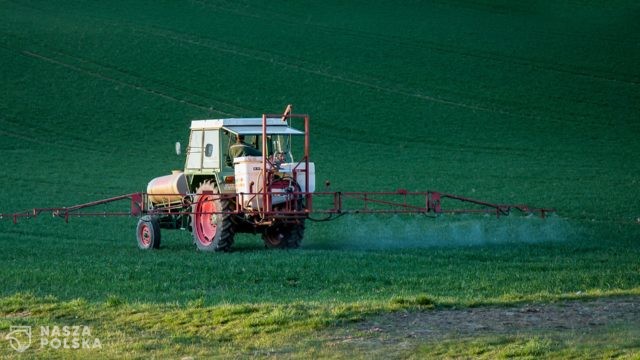 Glifosat w żywności? Według rządu problem jest śladowy