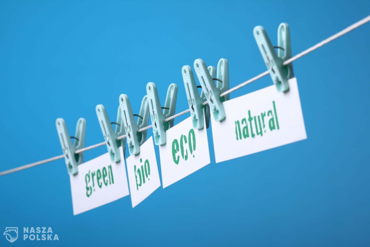 Greenwashing i jego czarna strona