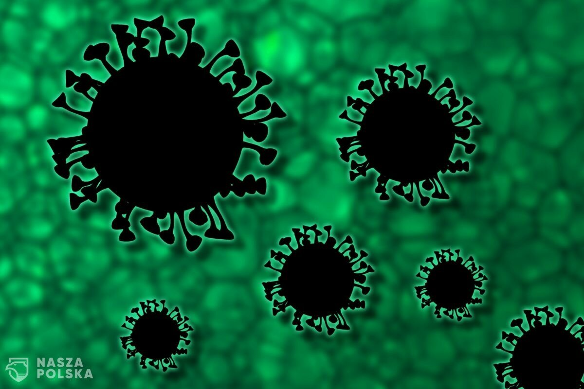 Włochy/ Eksperci: wirus słabnie – krytyczna faza dobiega końca