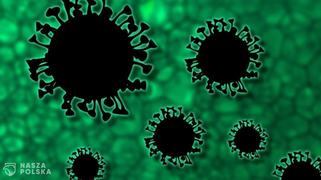Wirusolog: piąta fala COVID-19 opada, ale to nie koniec pandemii