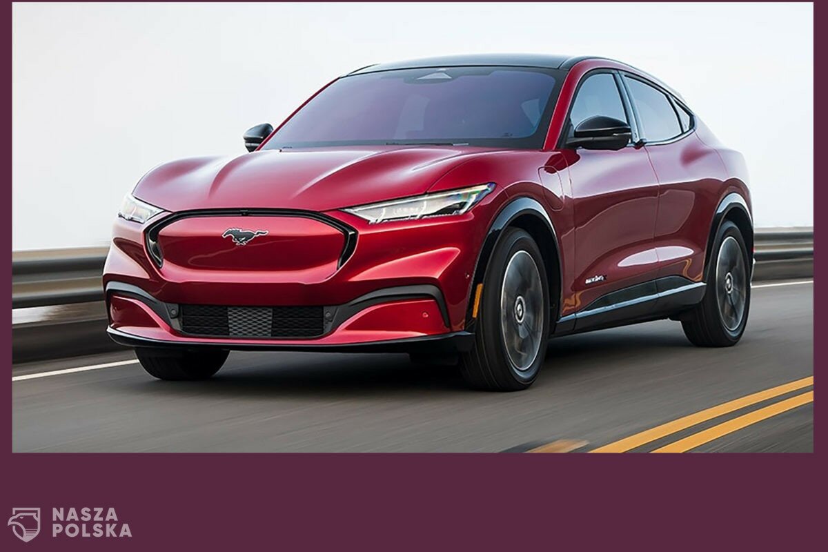 Wybór salonu samochodowego