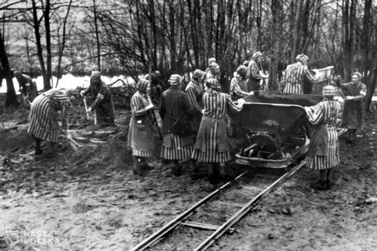 Otwarto wystawę poświęconą więźniarkom w KL Ravensbrűck
