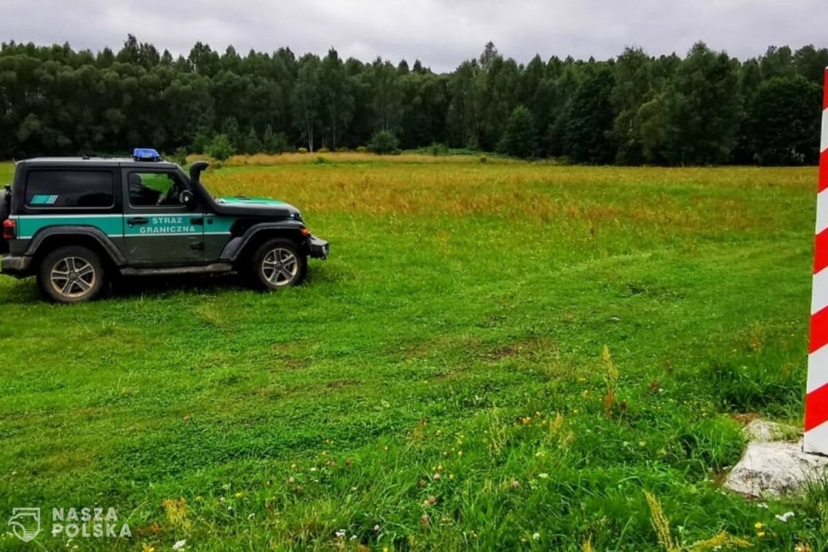 Ośmiu nielegalnych imigrantów ugrzęzło na bagnach; siedmiu trafiło do szpitali