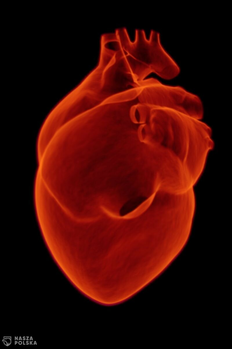 Prof. Mitkowski: Ryzyko zawału serca, związanego z COVID-19, istnieje, ale nie jest najistotniejszym powikłaniem