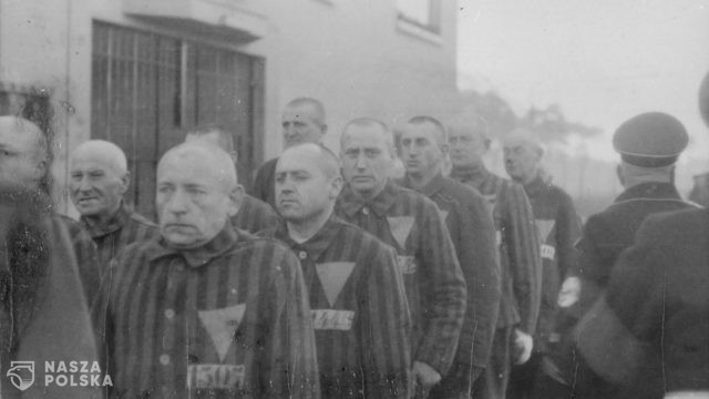 100-letni strażnik niemieckiego obozu koncentracyjnego twierdzi, że nie wiedział, co się tam działo