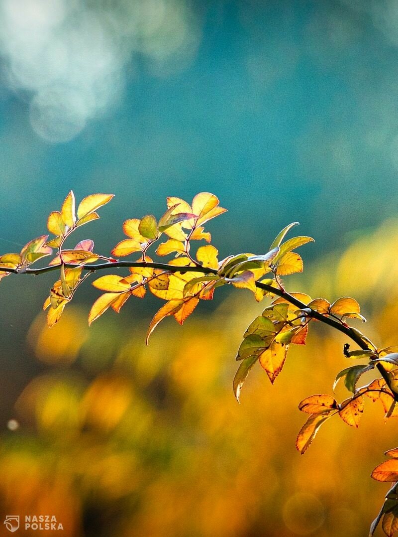 Synoptyk IMGW: niedziela słoneczna, ale chłodna