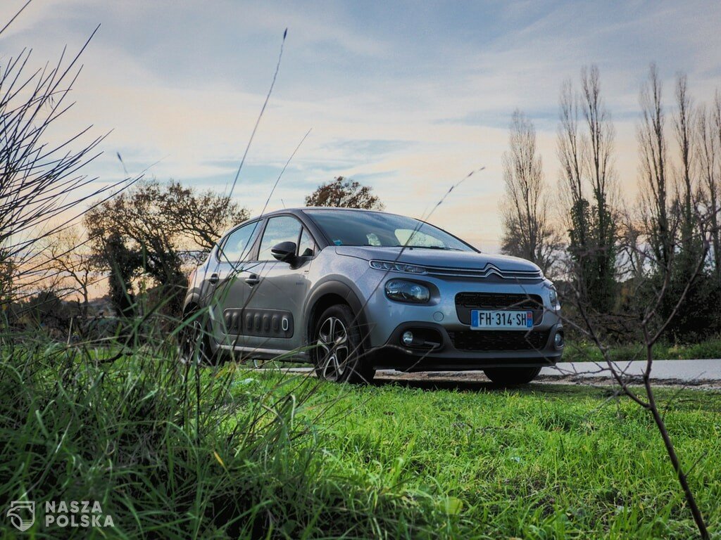 Jak działa OC przy obopólnej winie?