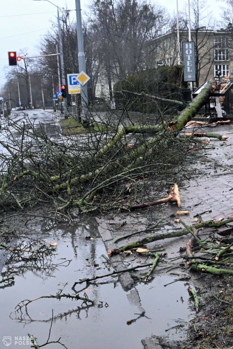 Prawie 1400 interwencji strażaków z powodu silnego wiatru