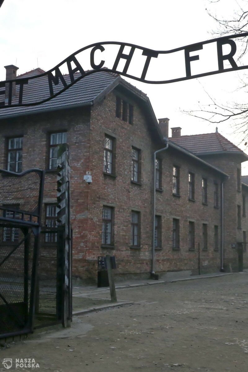„Hajlowała” na terenie obozu Auschwitz. Prokurator ukarał ją grzywną