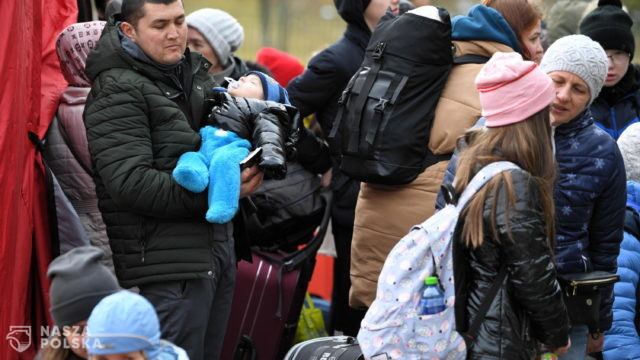 MSZ: granicę polsko-ukraińską przekroczyło blisko 500 tys. osób, w tym 277 tys. obywateli Ukrainy