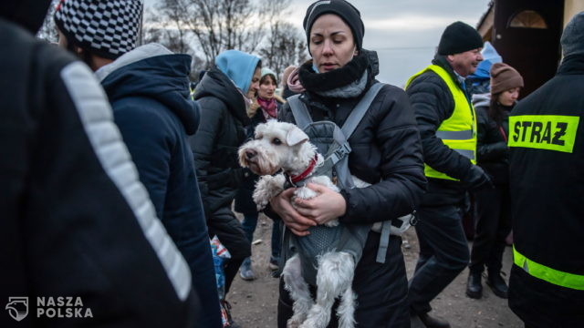 Uchodźcy uciekają z Ukrainy ogarniętej wojną razem ze swoimi zwierzętami