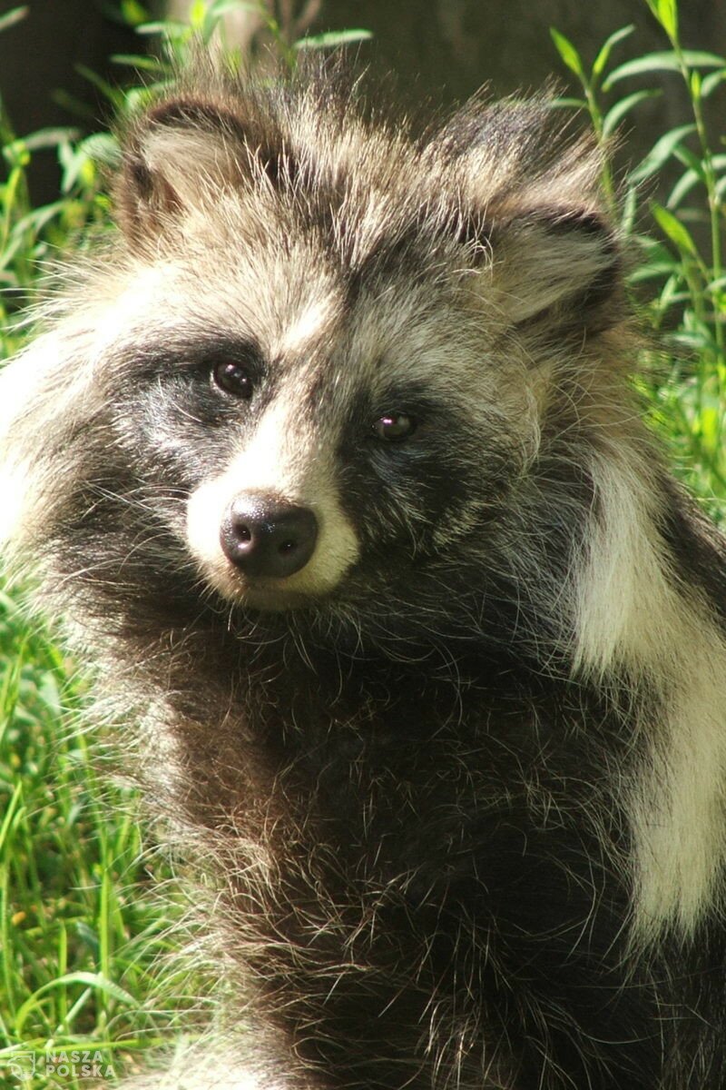 Projekt rozporządzenia: jenoty będą badane pod kątem zakażenia SARS-CoV-2