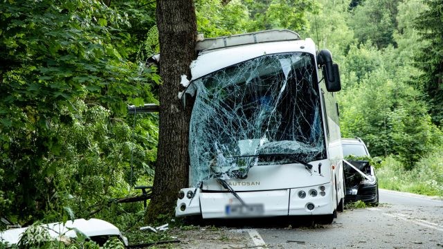 Policja: kierowca autobusu wycieczkowego, który uderzył w drzewo był trzeźwy