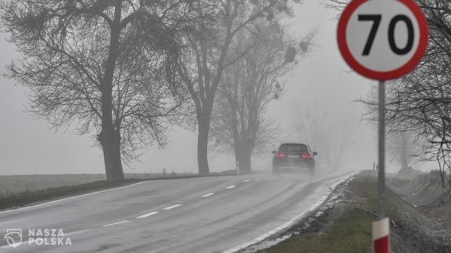 Wolniejsza jazda wymuszona wysokimi karami przynosi efekty – mniej śmiertelnych wypadków