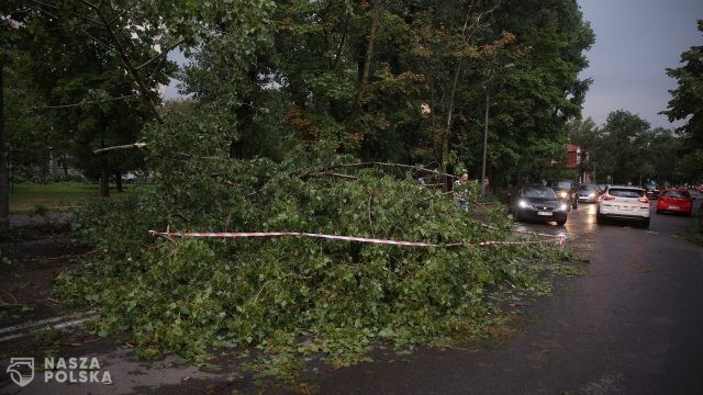 1844 interwencje strażaków w związku z silnym wiatrem i deszczem, zginęły dwie osoby