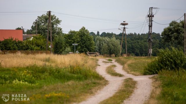 Lubelskie: zwłoki ze śladami pogryzienia przez zwierzęta leżały w na polu od około tygodnia