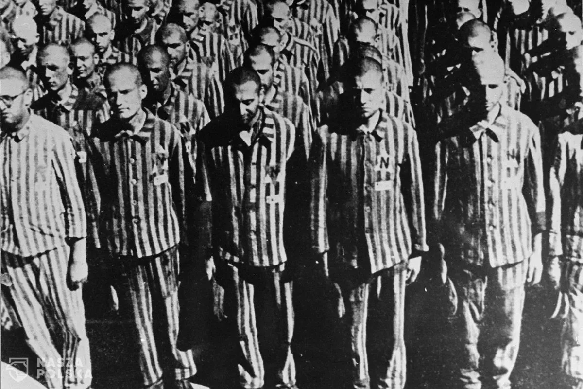 Buchenwald i koncerny farmaceutyczne. Przemilczana rocznica&nbsp;