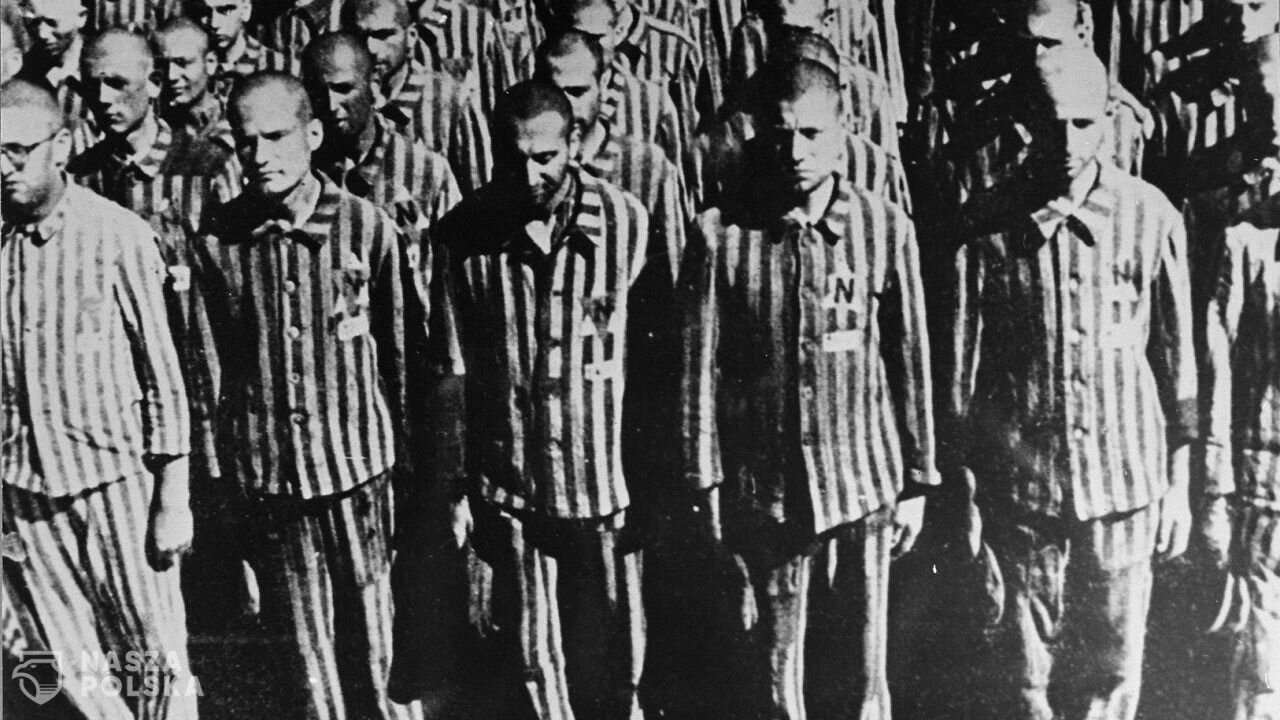 Ruszyła przedsprzedaż książki „Trzecia Rzesza i koncerny farmaceutyczne”