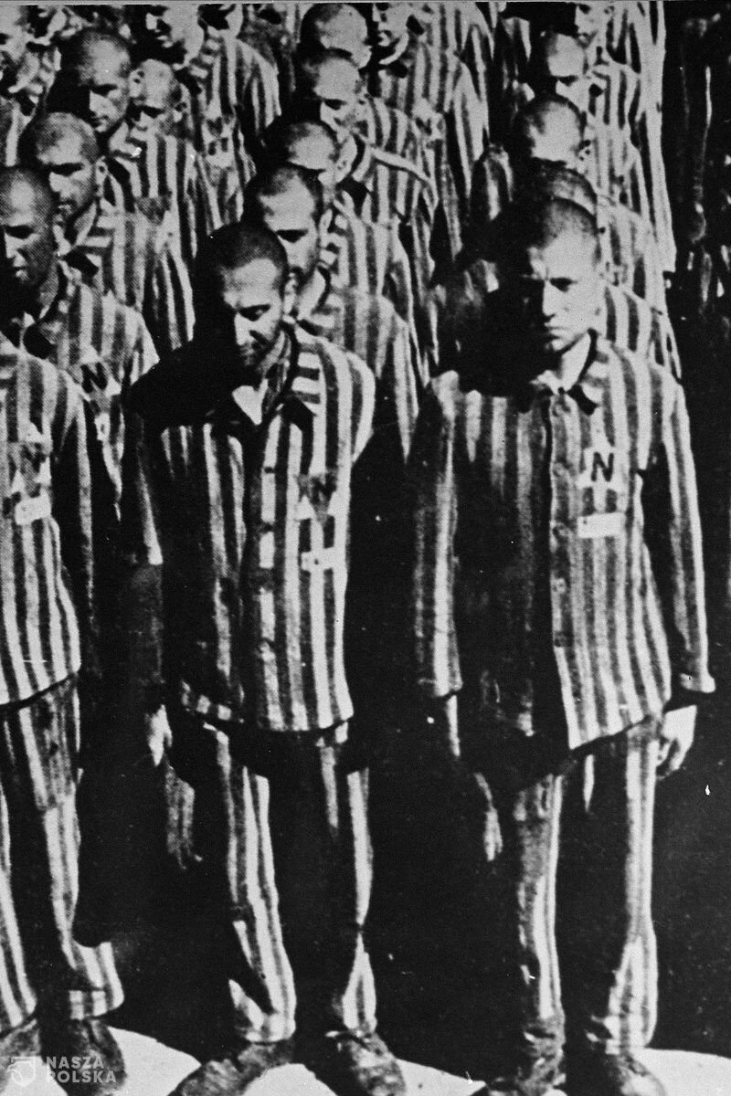 Ruszyła przedsprzedaż książki „Trzecia Rzesza i koncerny farmaceutyczne”