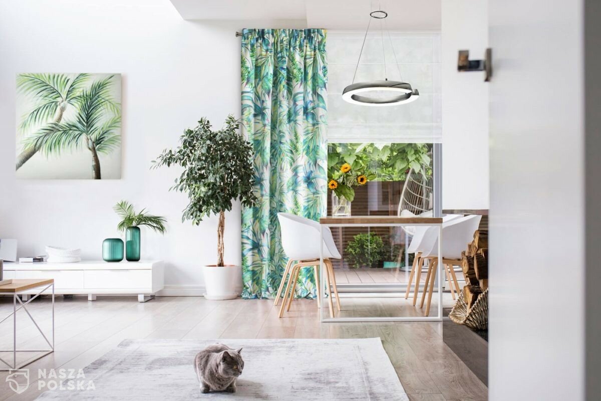 Czym kierować się przy wyborze odpowiednich rolet?