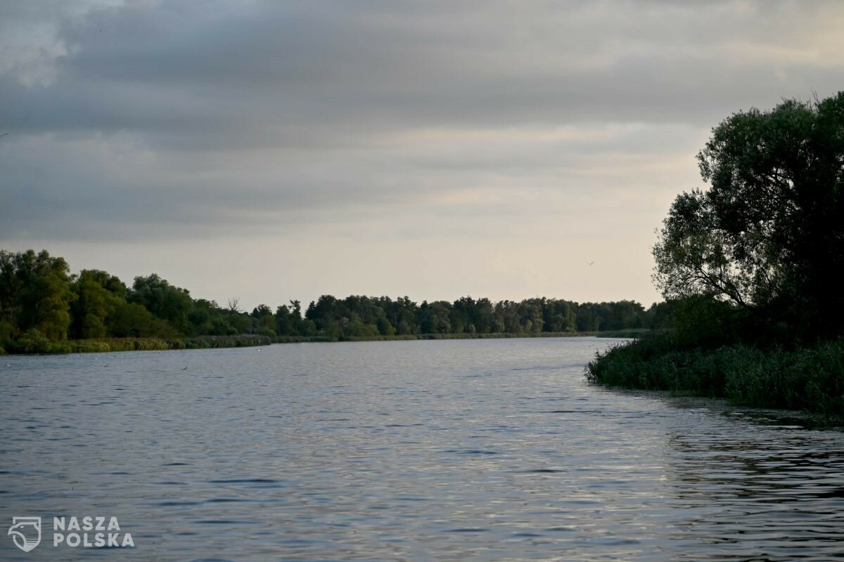 Badanie: w osadach ujścia Odry obecna jest szkodliwa tributylocyna